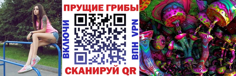 блэк спрут ONION  Видное  Псилоцибиновые грибы MAGIC MUSHROOMS 